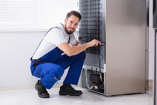 Fridge repair
